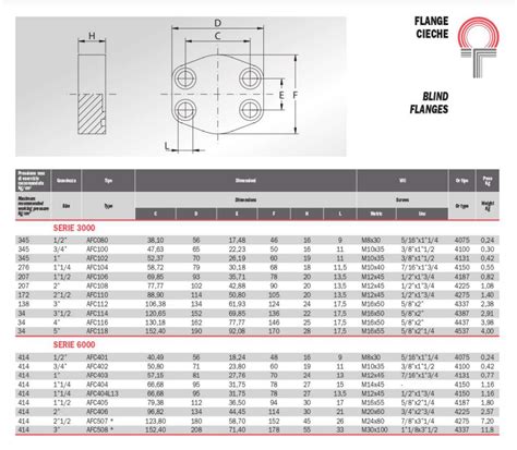 Oleo Tecnica Stainless Steel Ss Sae Blind Flange Code Psi