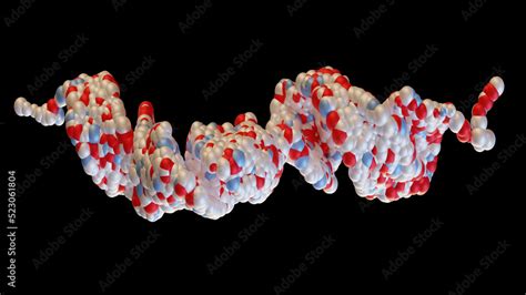 3D rendering of Glucagon-like peptide 1 (GLP1, 7-36) molecule, a potent ...