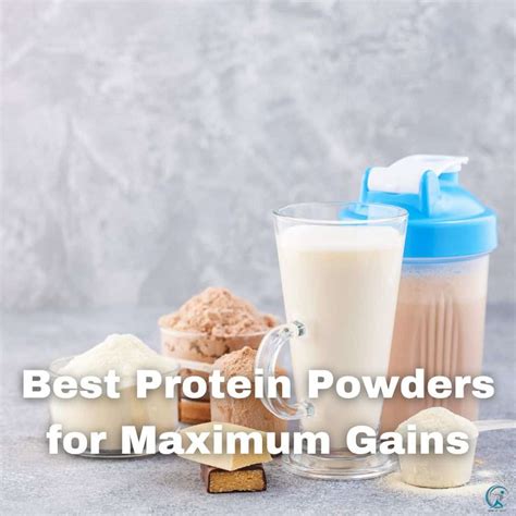 Uncovering The Best Protein Powders For Muscle Gain Gear Up To Fit