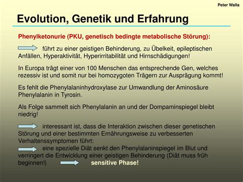 Ppt Evolution Genetik Und Erfahrung Powerpoint Presentation Free