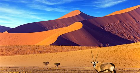 Namib Desert - An Ultimate Guide To Namibia’s Natural Marvel