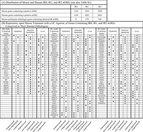 Widespread Negative Response Elements Mediate Direct Repression By