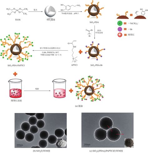 Surface Modification Of Silica Nanoparticles Using Polydopamine