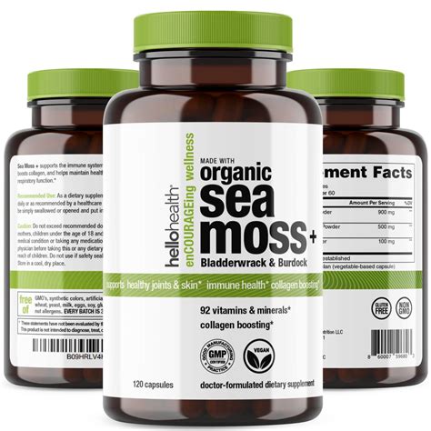 24 Sea Moss Benefits: Full Guide - Orlando Magazine