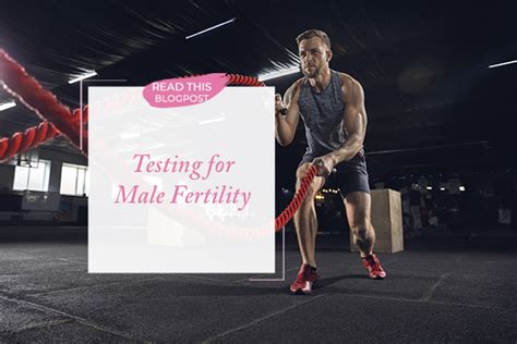 Male Fertility Testing An Interview With Dr Martin Bastuba Marc Sklar