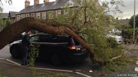 Cardiff Driver Escapes Tree Falling On Car Bbc News