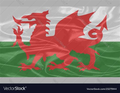 Cloth material welsh dragon flag Royalty Free Vector Image