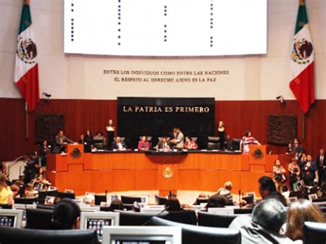 El Senado ElegirÁ Este Martes La Terna Que PresidirÁ La Cndh Estado