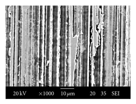 Morphology and its corresponding SEM of the initial surface. | Download ...