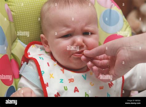 8 month old baby eating and drinking Stock Photo - Alamy