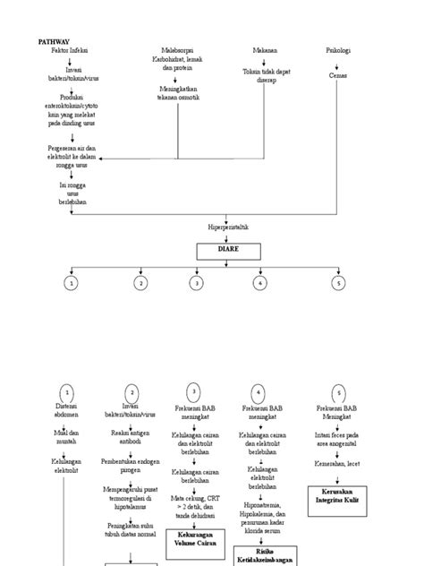 Pathway Diare Pdf