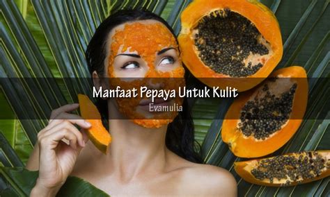 Manfaat Getah Pepaya Untuk Kulit Sudah Coba Eva Mulia Clinic