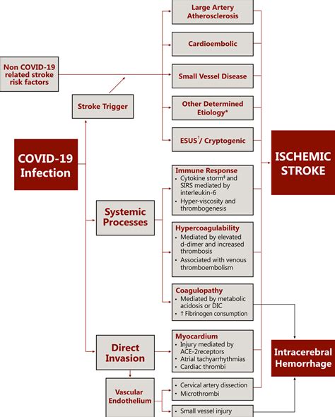 Severe Acute Respiratory Syndrome Coronavirus 2 Infection And Ischemic