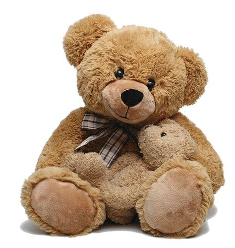 Teddy Bear Png