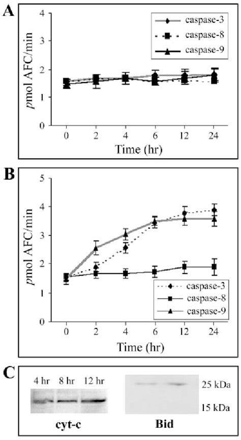 Figure From Caspase Activation Results In Downstream Caspase