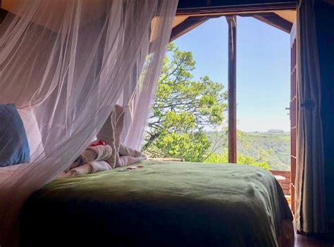 Teniqua Treetops A Glamping Forest Escape In The Garden Route