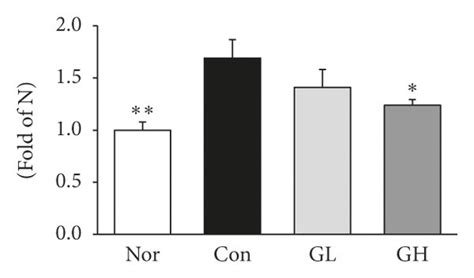 Western Blot Analysis Of A Nf κbp65 B P Iκbα C Cox 2 D Inos