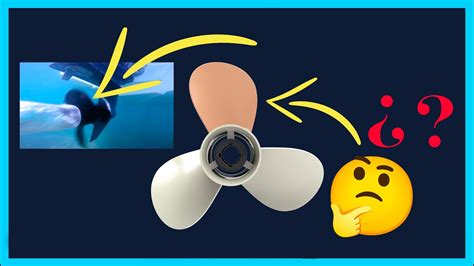 Propeller Basics How Does A Propeller Work Propeller Parts Pitch