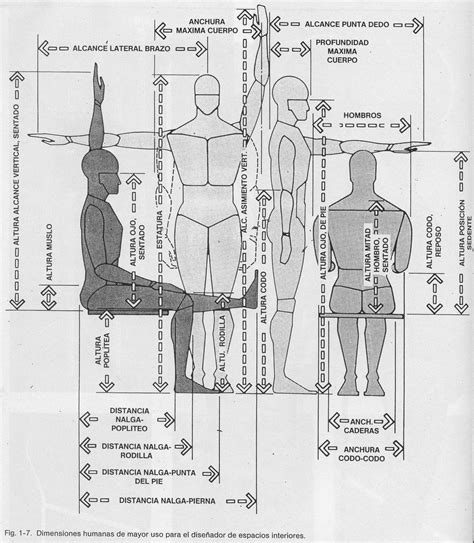 Ergonomia Ifpm Unidad Antropometr A