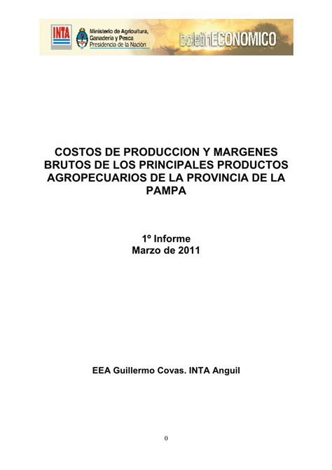 Pdf Costos De Produccion Y Margenes Brutos De Los Prod Y M A