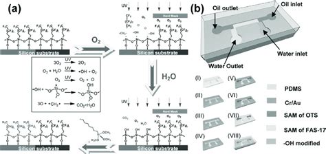 Schematic Process Route For Regioselective Removal And Alternative