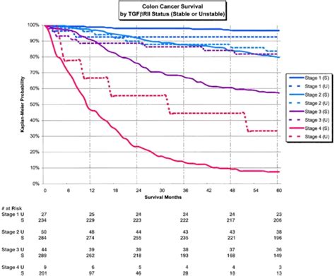 Stage 3 Lung Cancer Survival Rate - CancerWalls