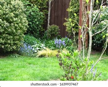 Garden Border Design Garden Ideas Stock Photo 1639937467 | Shutterstock