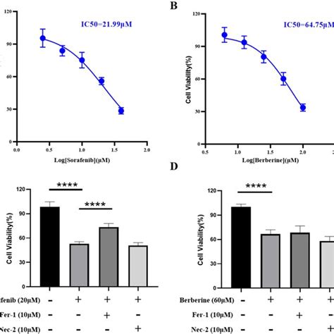 Influence On Hsc Viability By Berberine And Sorafenib Was Evaluate By