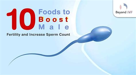 Foods To Boost Male Fertility And Increase Sperm Count