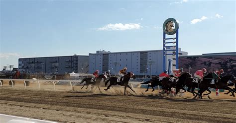 【川崎🔥勝負レース👊🔥】727木【10r】風林火山賞（発走時刻1940）｜さやだま