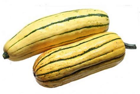 Courge Delicata BIO Petit Calibre France Bam Courses Courses En