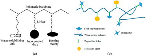 Pharmaceutics Free Full Text Design And Biological Evaluation Of