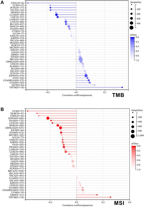 Comprehensive Pan Cancer Analysis Reveals The Prognostic Value And