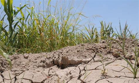 Emergencia Agropecuaria Por Sequía En Uruguay Cuba En Resumen