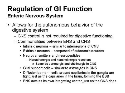 Digestive Physiology Lecture Outline Basic GI Functions Regulation