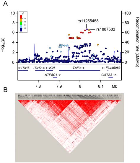 Regional Association Plot And Linkage Disequilibrium Pattern At The