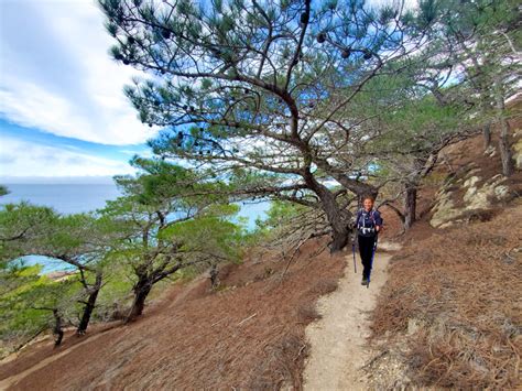 Best Views Of Channel Islands National Park Top 4 Vista Hikes