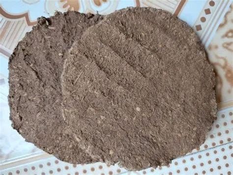 Organic Cow Dung Cakes At Rs Piece Cow Dung Cake For Manure In