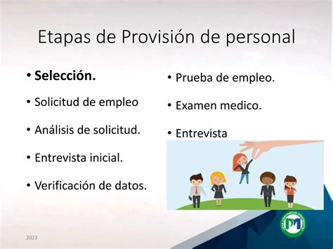 Provisión las etapas de selección personal PPT