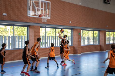 La línea de fondo, un espacio desaprovechado | JG Basket