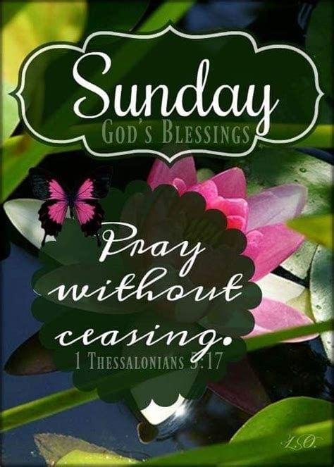 Pin By Catherine Hendrickson Jenkins On Sunday Blessings Blessed 1