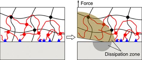 Design Molecular Topology For Wetdry Adhesion Acs Applied Materials