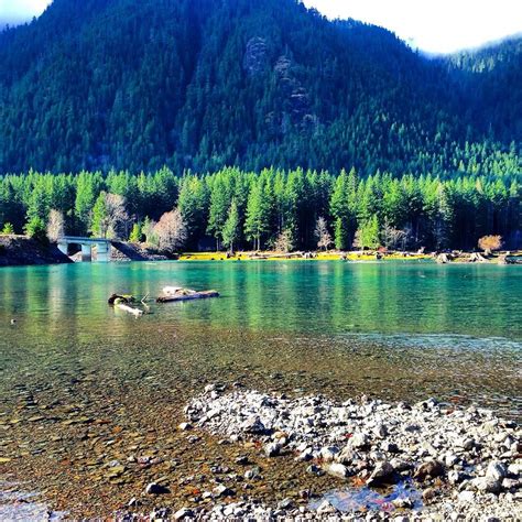 12+ Lake Cushman Fishing - YolandaIsmail