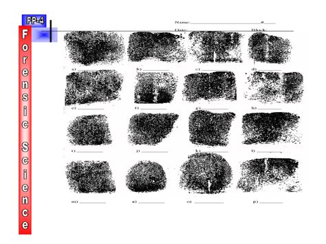 Fingerprint Identification Practice Worksheet