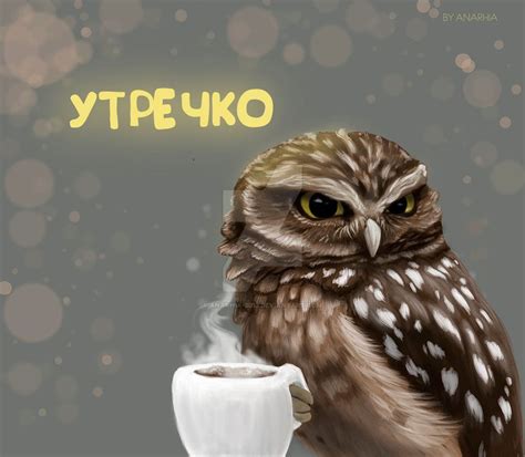 Сова С Кружкой Кофе Смешные Картинки — Красивое Фото