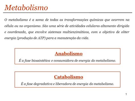 Catabolismo e Anabolismo Qual a Diferença