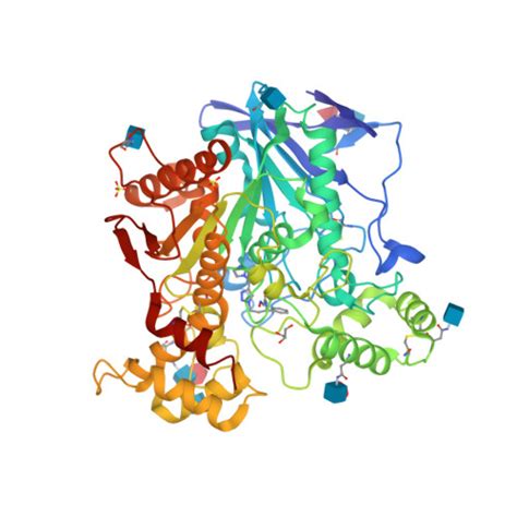 Rcsb Pdb 6t9s Human Butyrylcholinesterase In Complex With 2 N Hydroxyimino N 1s 3 4 2