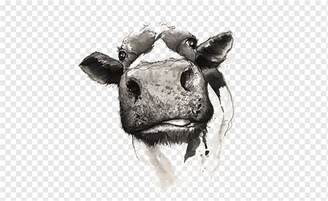 Gray Cattle Head Illustration Cattle Drawing Watercolor Painting