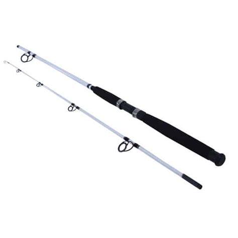 Best Pier Fishing Rods (2021 Review) - Tactical Huntr