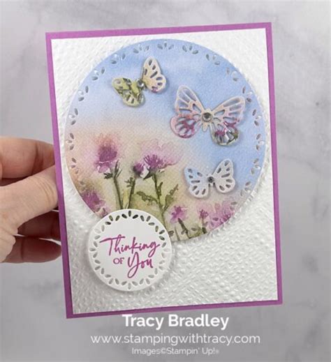 Stampin Up Sketched Butterflies Bundle Stamping With Tracy